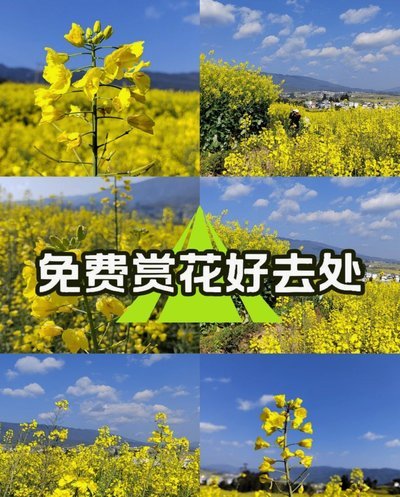 享花卡：年轻人的金融新选择