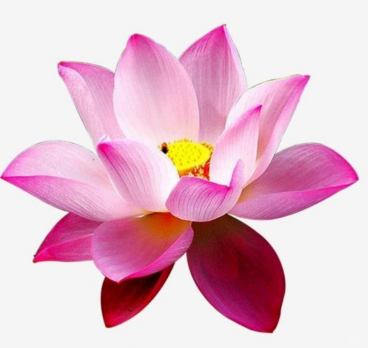 享花卡是什么平台