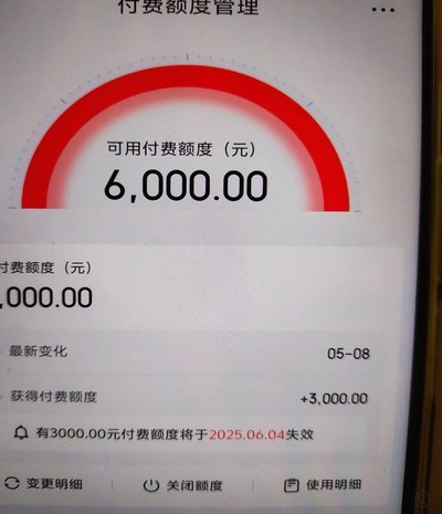 商家白条额度出现怎么办？解读与应对策略