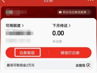 白条取现额度没了