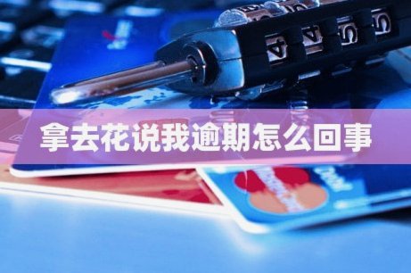 拿去花怎么能提现