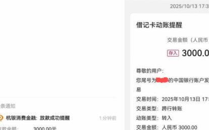 便荔卡提现能？