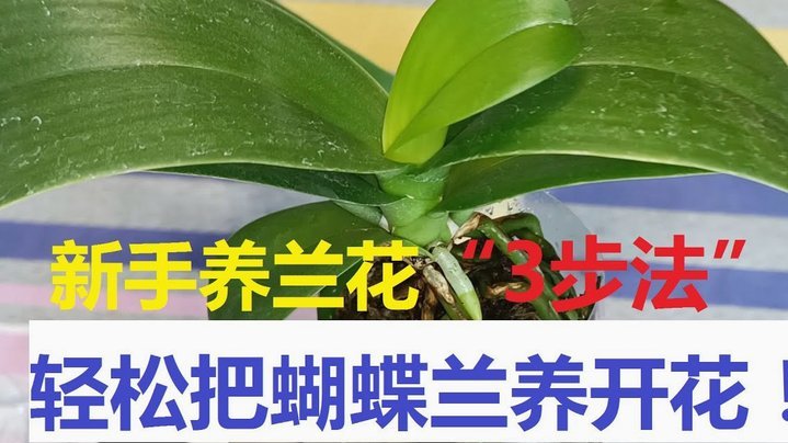 如何正确拆卸与安装设备套件