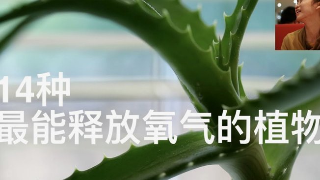 怎么把拿去花套出来