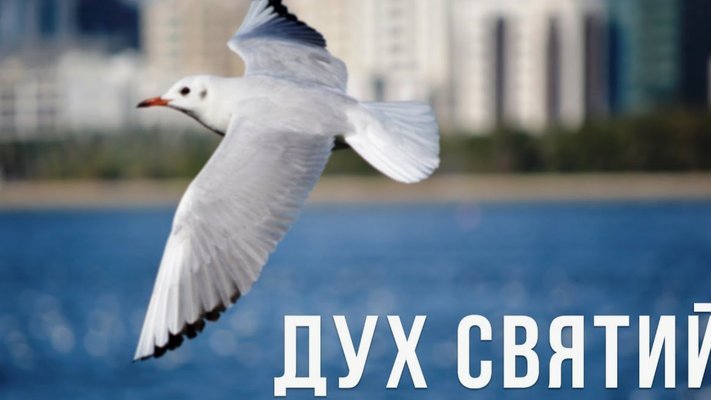 海鸥贷：助力中小微企业高效融资的新选择