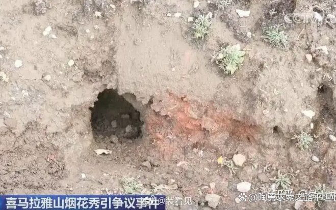 现场人员谈蔡国强放烟花次数