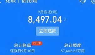花呗秒提：零钱经济下的消费透支新思维