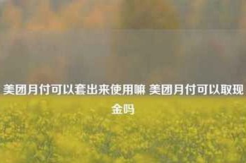 美团月付取现金 取不出来什么原因