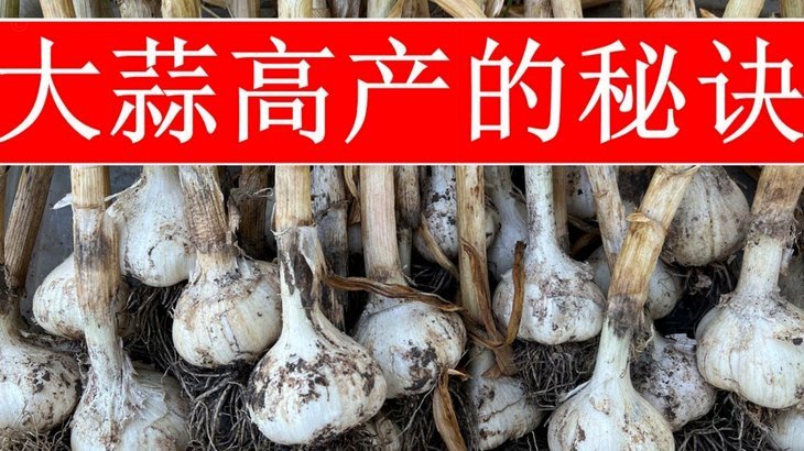 白条套取风险：企业财务的隐形危机