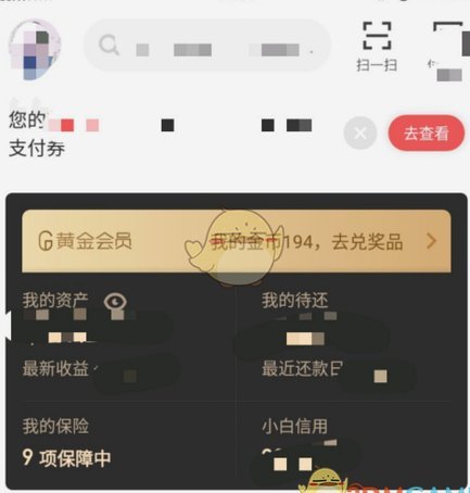 白条平台官方客服电话9555