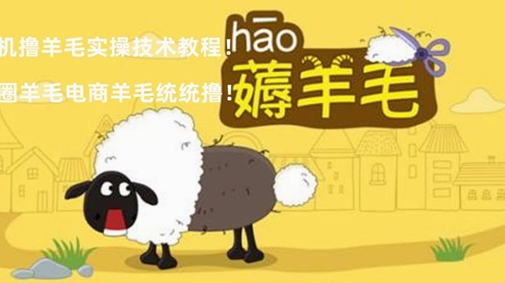 羊小咩额度：理性获取，防范风险