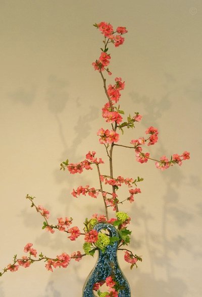 享花卡：不止是应急之本