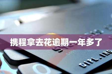 携程拿去花关闭方式