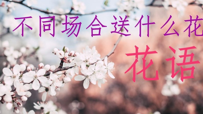 花呗套现：风险与防范之道