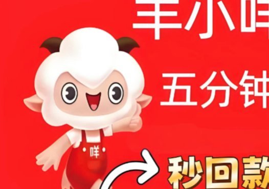 羊小咩才得100块