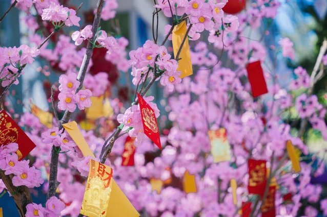 花呗为什么提现不出来