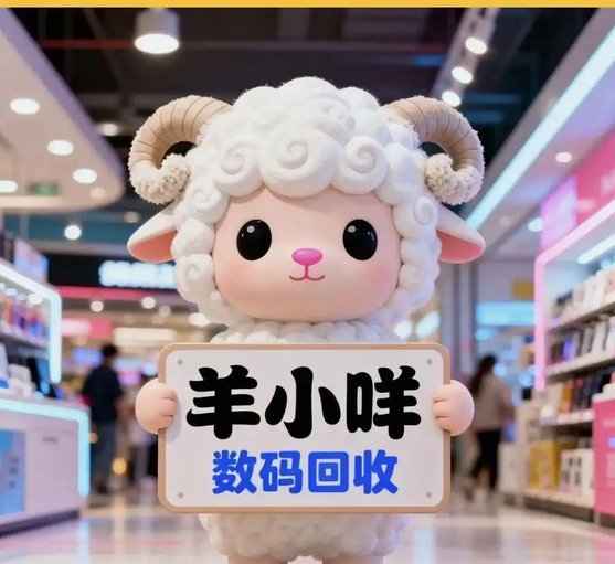 便荔卡额度16000：便捷支付背后的金融逻辑