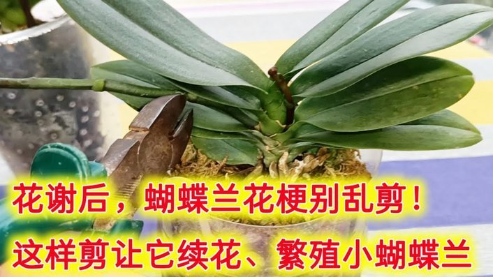 携程拿去花：如何取现？