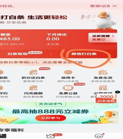 白条怎么套出去啊