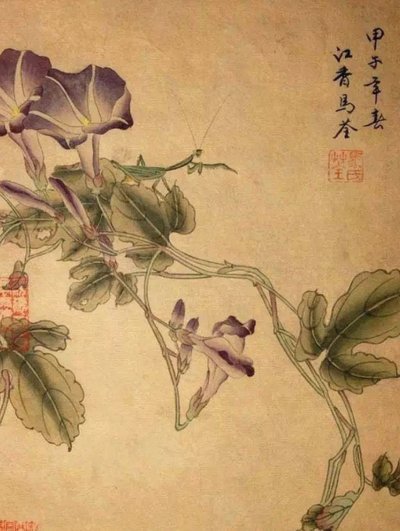 拿去花开通不了啥原因