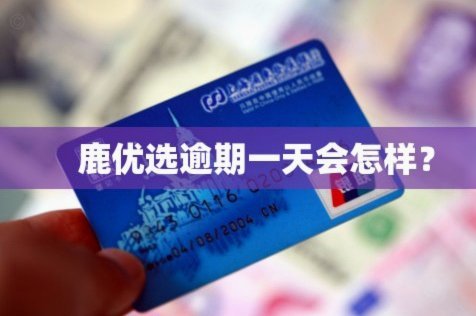 鹿优选额度选择指南