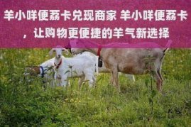 从冲动到自律：羊小咩如何养成高级的消费观？