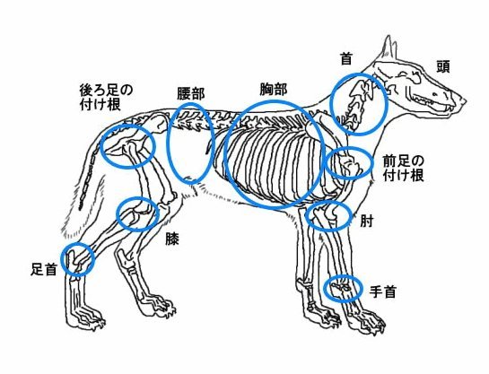 花呗快到账秘