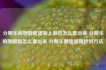 分期乐额度提现微信：风险与挑战并存