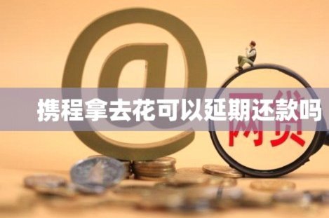 携程拿去花用不了怎么回事