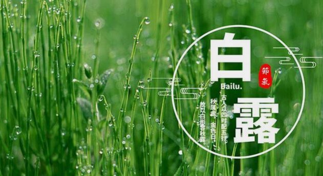 白条怎么回收
