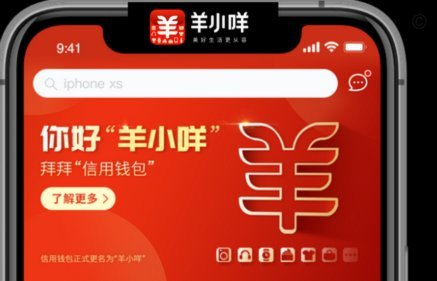 羊小咩2万如何套取实情