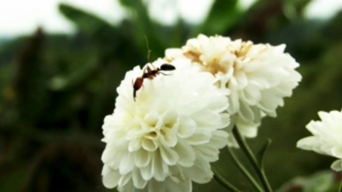 携程拿去花消费影响征信吗