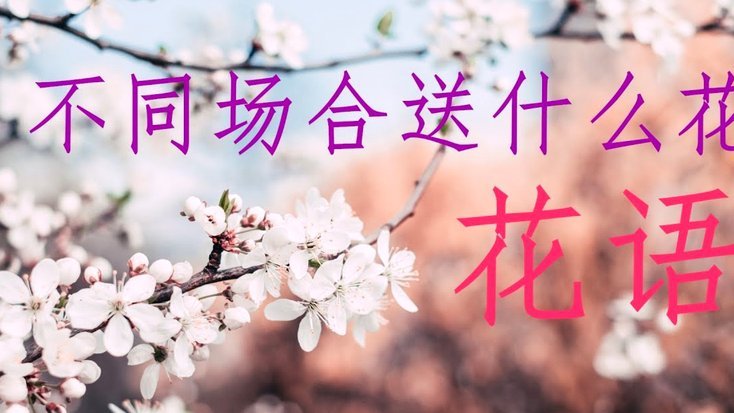 花呗提现 stuck？原因和解决方法