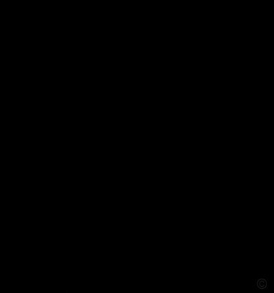 便利百科