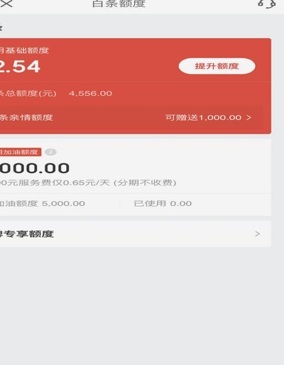 白条加油包1万但是用不了