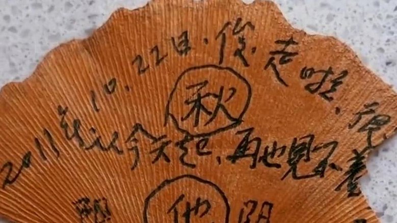 母亲遗物怎么处理