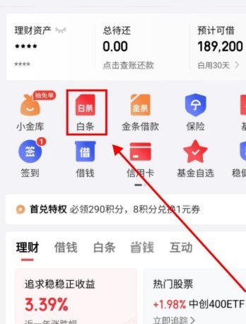 白条临时额度有多少