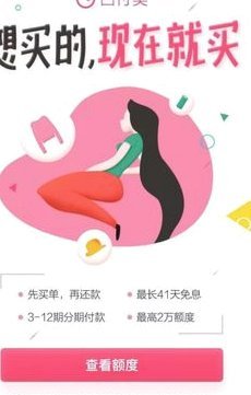 白付美怎么提额度