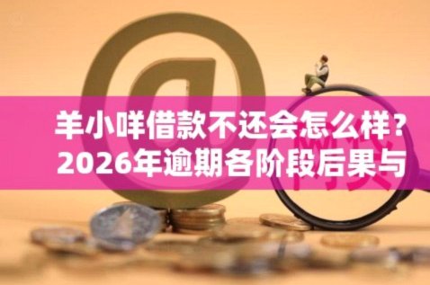羊小咩逾期不还的后果你了解吗