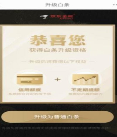 白条妙用：省钱技巧全攻略