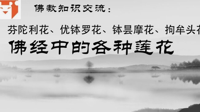 帮朋友借花呗真的安全吗？