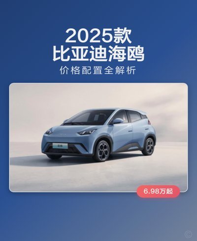 海鸥网贷怎么样？风控与用户体验深度解析