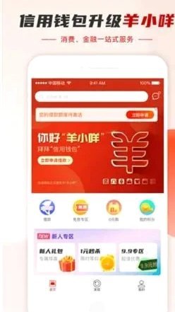 羊小咩还款指南：按时还款妙招